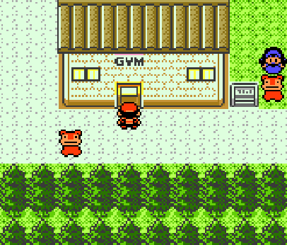Eu ZEREI Pokemon FIRE RED apenas com Pokemon LUTADOR 